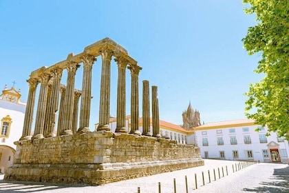 Small Group Évora Historical & Alentejo Wine Tour From Lisbon