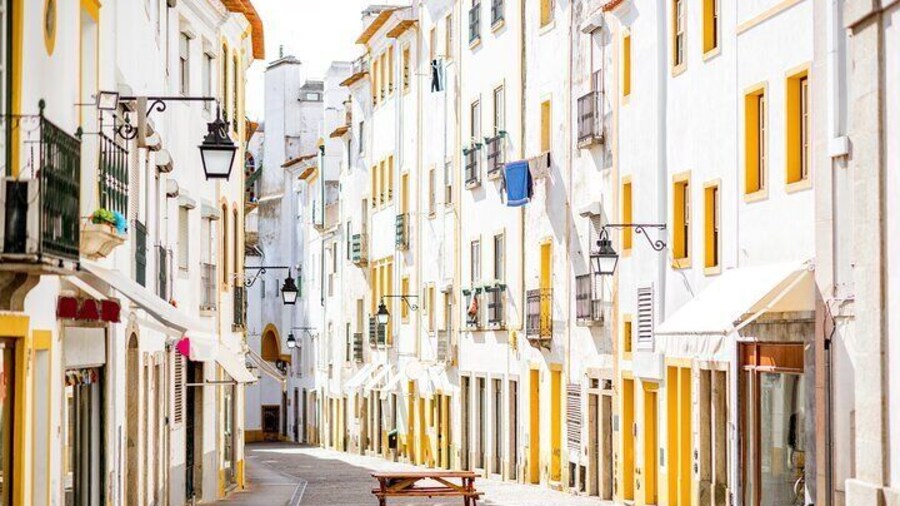 Small Group Évora Historical & Alentejo Wine Tour From Lisbon