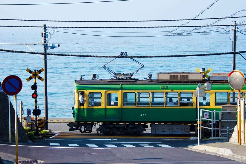 Picture 8 for Activity From Tokyo: Kamakura 1-Day Trip (Atami Fireworks Display)