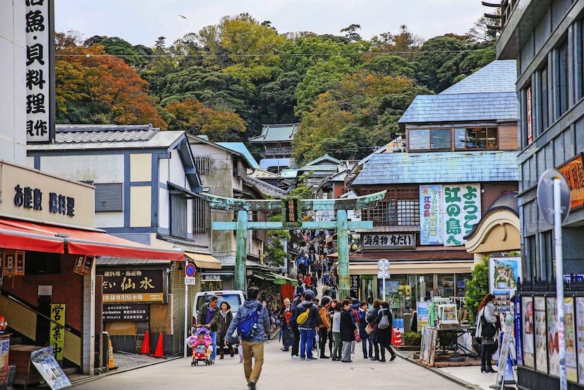 Picture 12 for Activity From Tokyo: Kamakura 1-Day Trip (Atami Fireworks Display)