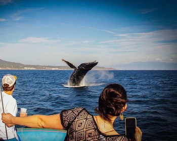 Whale Watching + Water Activities All-inclusive Experience