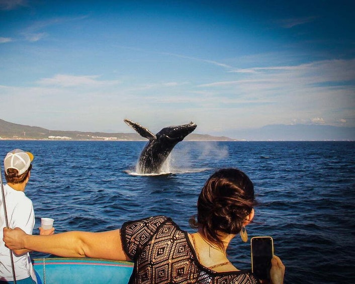 Whale Watching + Water Activities All Inclusive Experience