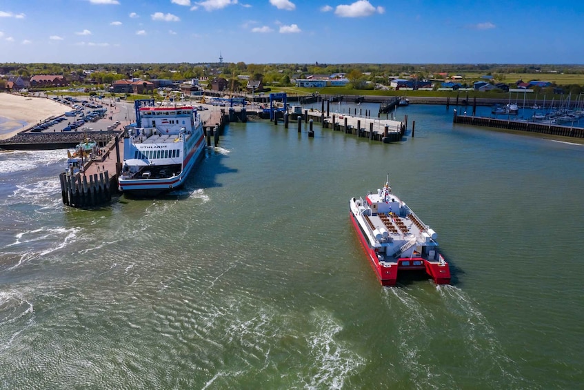 Picture 2 for Activity Sylt: Day trip to Föhr Island by boat