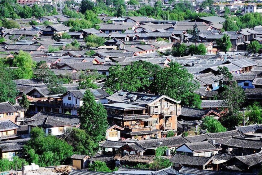 1-Day Dongba and Naxi Culture Tour in Lijiang