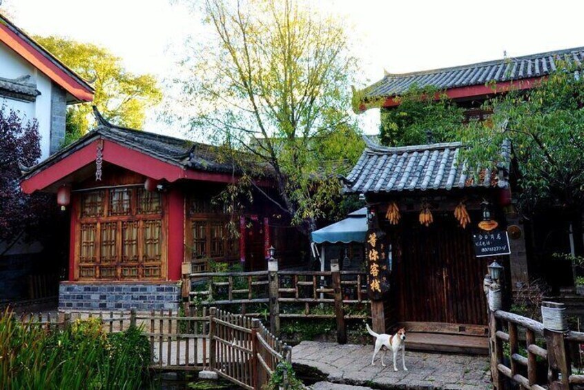 1-Day Dongba and Naxi Culture Tour in Lijiang