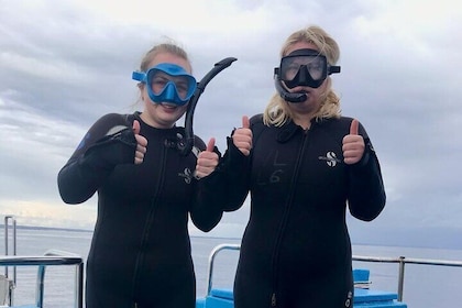 Larnaca Snorkelling Zenobia Wreck