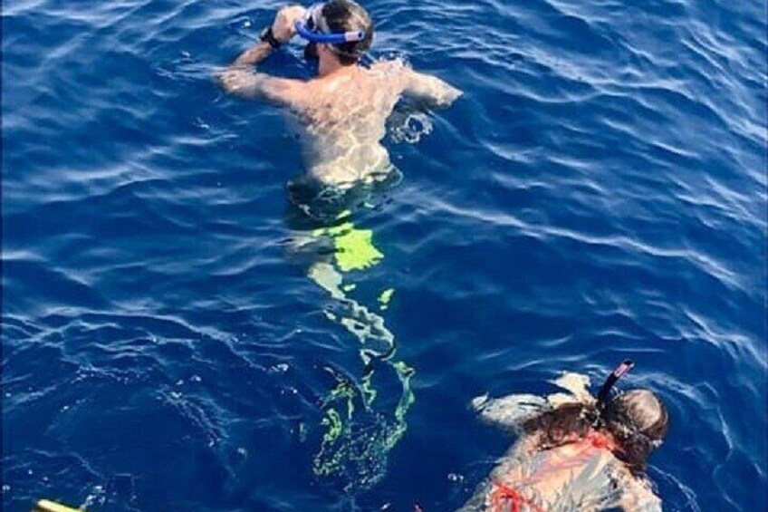 Larnaca Snorkelling Zenobia Wreck