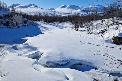 Snowshoes in Abisko National Park