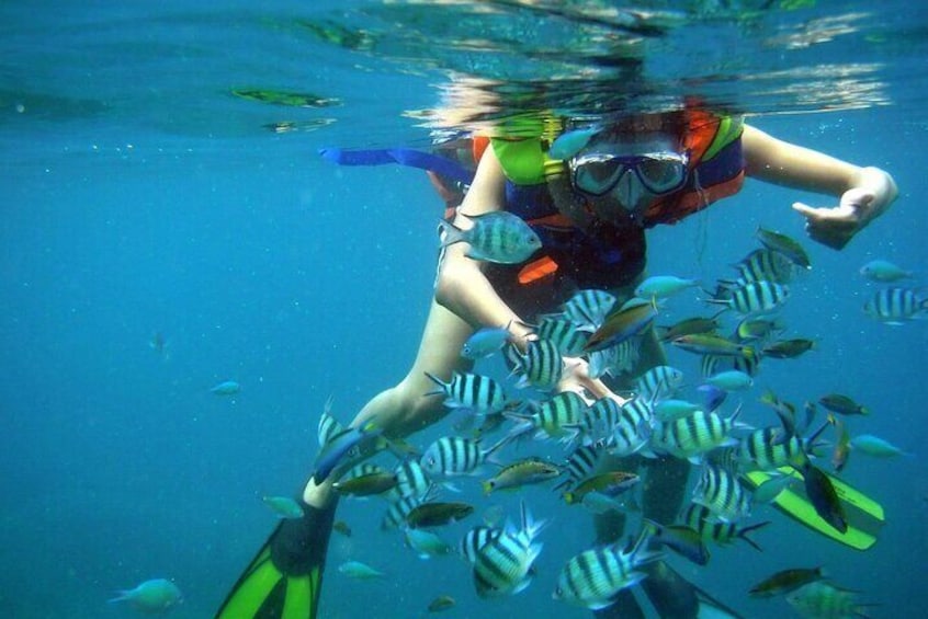 Explore Nha Trang Bay: Snorkeling at Mun Island & Coral Reefs