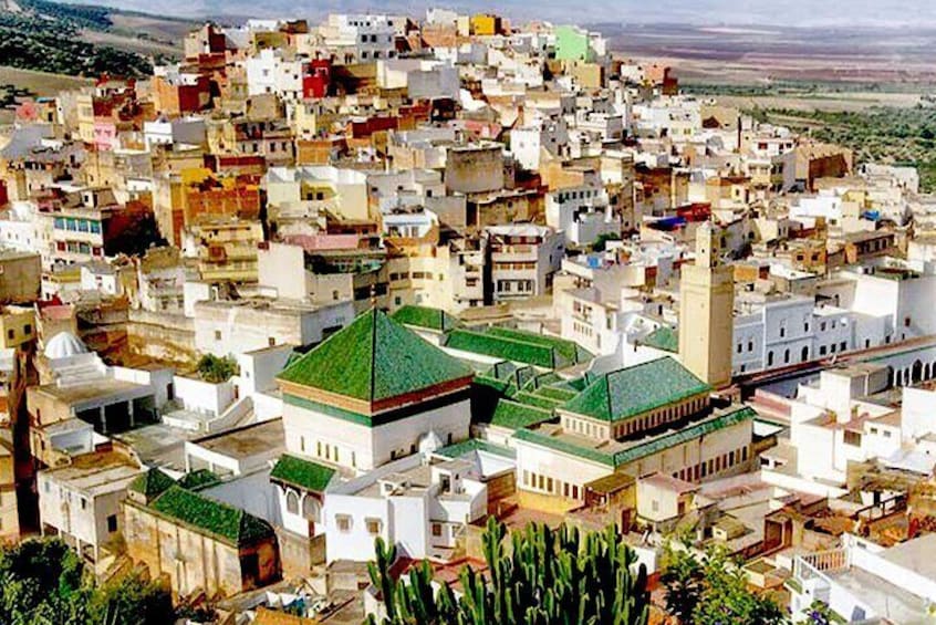 Full Day Guided Tour to Meknes Volubilis and Moulay Idriss