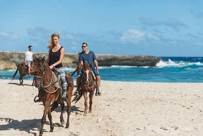 Paseo a caballo por la playa Wariruri en Aruba