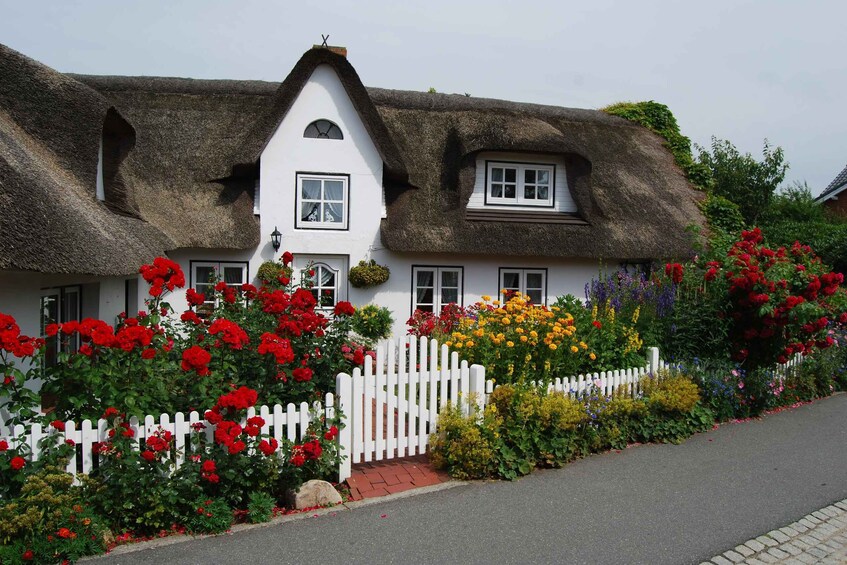 Picture 6 for Activity Sylt: Boat tour to island of Amrum
