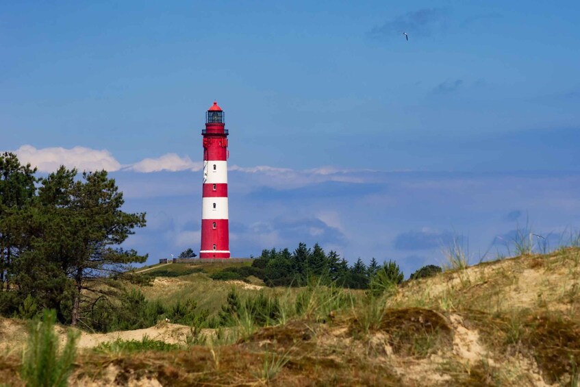Sylt: Boat tour to island of Amrum