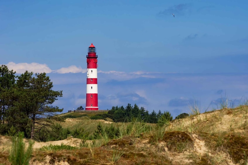 Sylt: Boat tour to island of Amrum