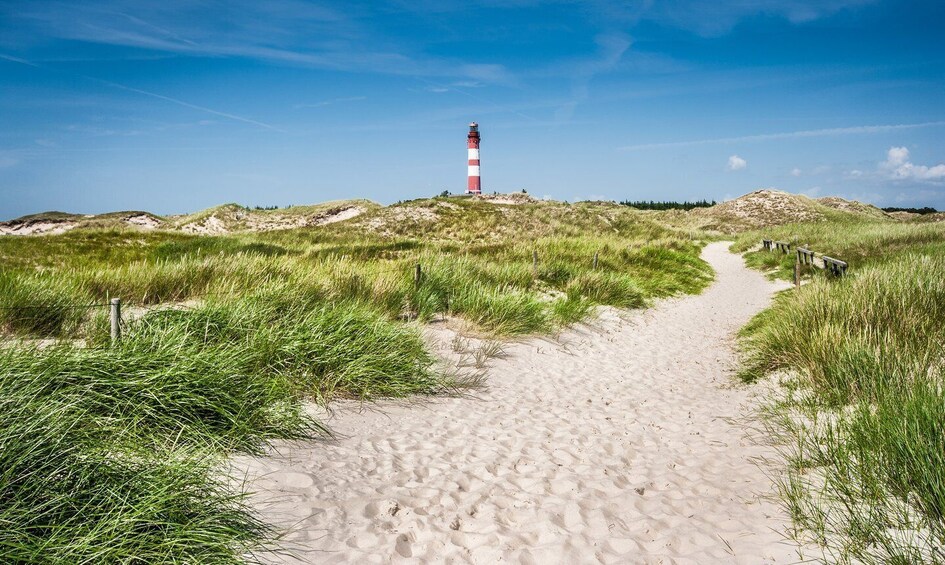Picture 7 for Activity Sylt: Boat tour to island of Amrum