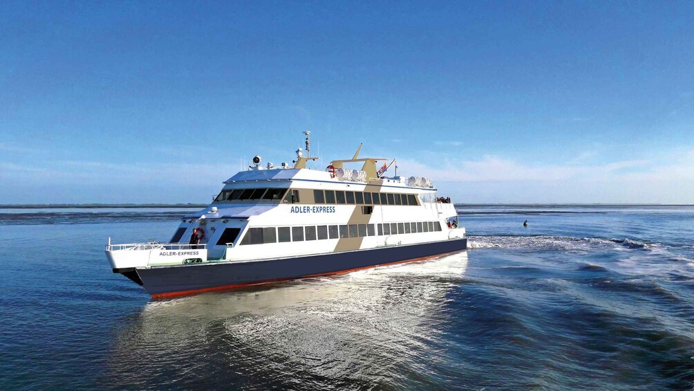 Picture 3 for Activity Sylt: Boat tour to island of Amrum