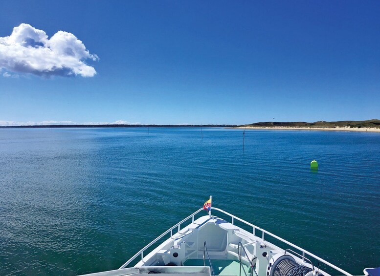 Picture 5 for Activity Sylt: Boat tour to island of Amrum