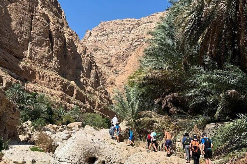  2-Day - 1 Night in Ras Al Hadd Private Oman Adventure