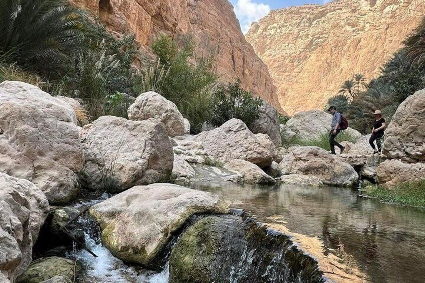  2-Day - 1 Night in Ras Al Hadd Private Oman Adventure