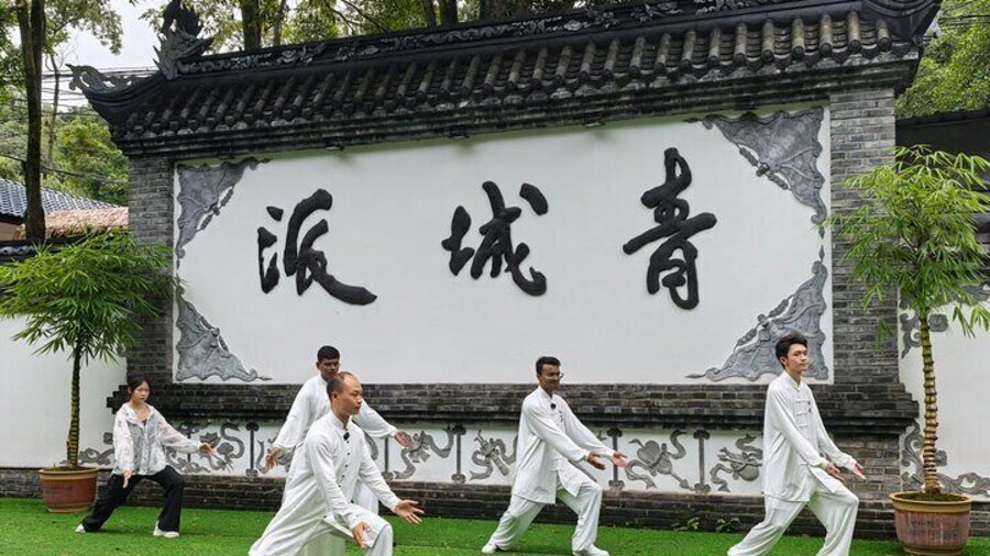 Chengdu Kung Fu Panda Tour Tai Chi, Martial Arts and Panda Base
