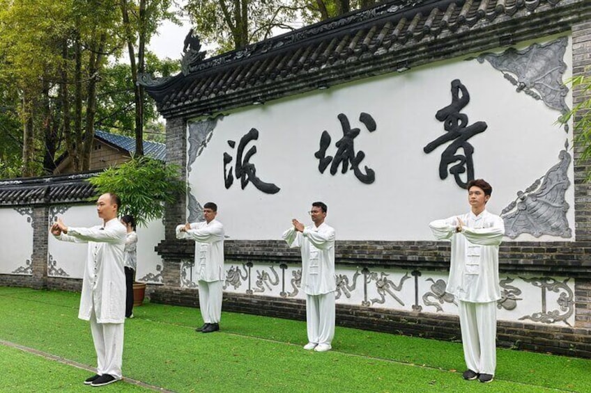 Chengdu Kung Fu Panda Tour Tai Chi, Martial Arts and Panda Base