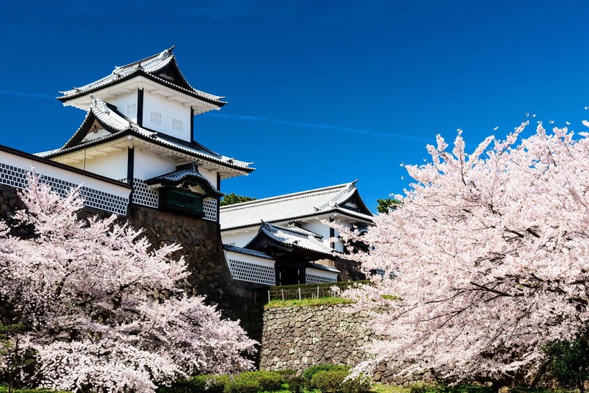 Kanazawa 3 hour Walking Tour with Market, Castle, and Garden