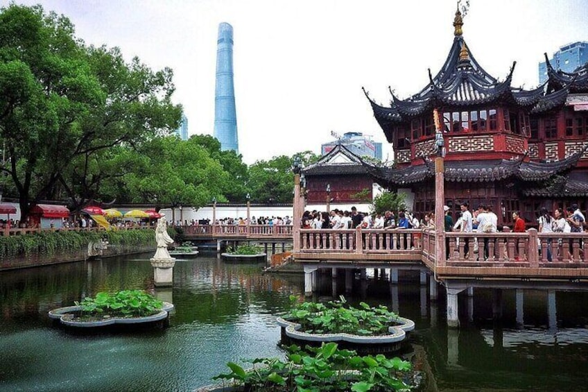 Shanghai Private Tour with Historic and Modern Landmarks