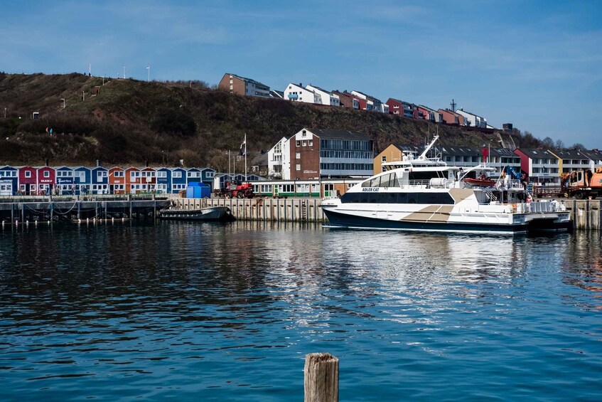 Picture 3 for Activity From Föhr and Amrum: Day Trip to Helgoland by Boat