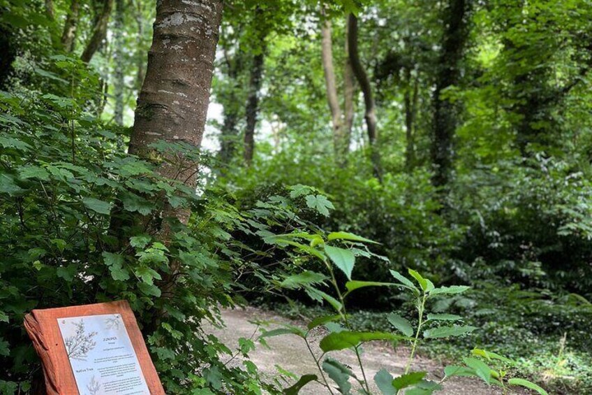 Family Adventure Quest Treasure Hunt at Fota Island Resort
