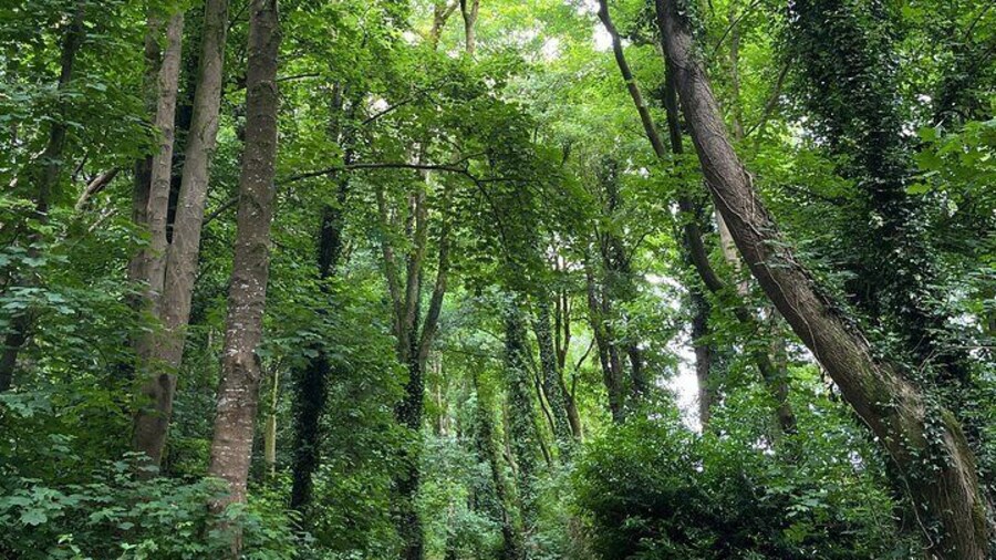 Family Adventure Quest Treasure Hunt at Fota Island Resort