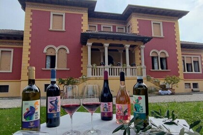 Nectar of Legend: Discovering the Wines and Myths of Garda