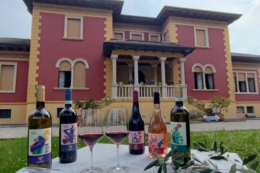 Nectar of Legend: Discovering the Wines and Myths of Garda