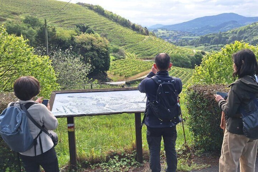 Hikers admiring the views of txakoli vineyards.