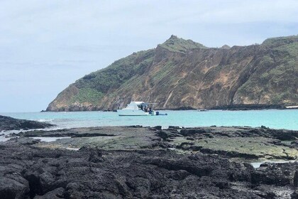 Tour to Kicker Rock or Sleeping Leon and Cerro Brujo Beach
