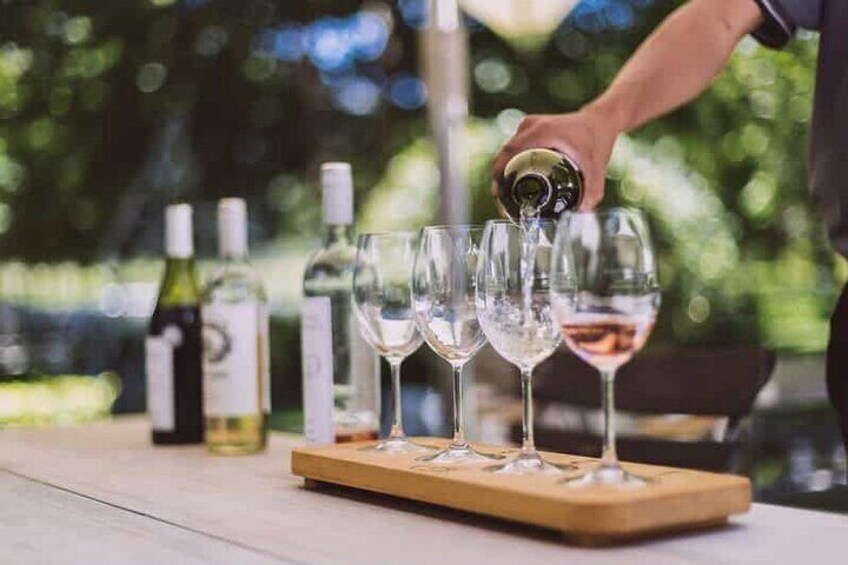 Private Winery Tour in Cape Town 