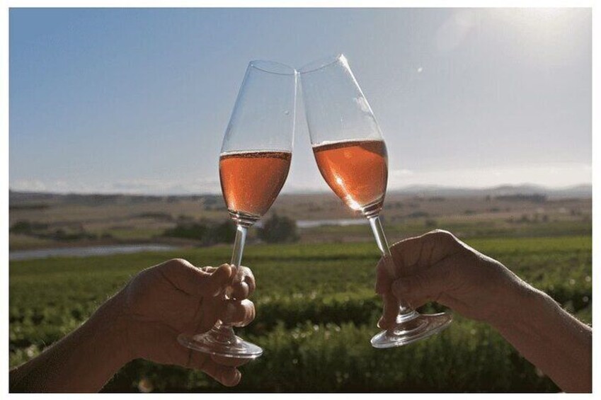 Private Winery Tour in Cape Town 
