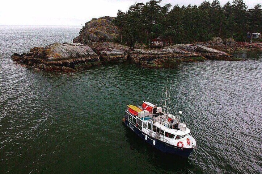 Morning Kayak & Seal Cruise