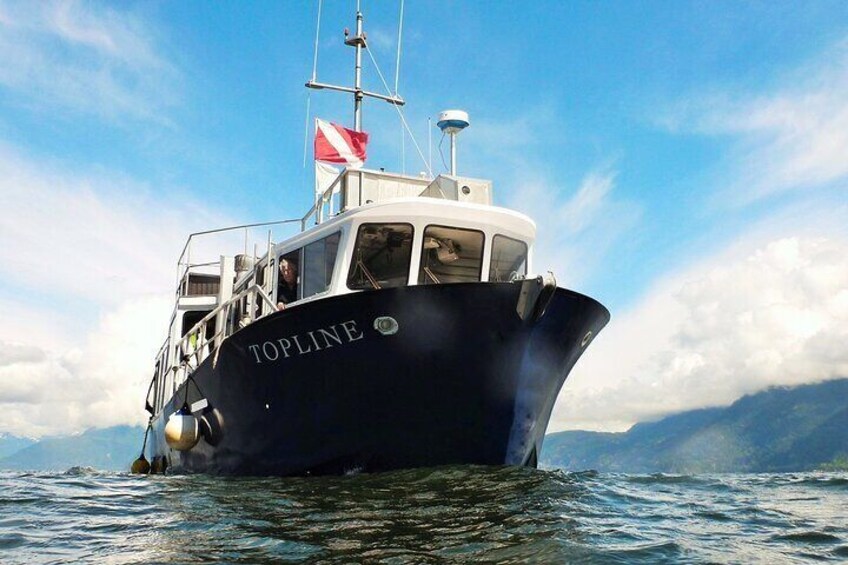 Morning Boat Cruise & Kayak in Vancouver