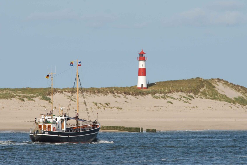 Picture 5 for Activity From List: Boat trip for Mackerel Fishing around Sylt