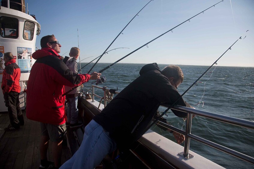 Picture 3 for Activity From List: Boat trip for Mackerel Fishing around Sylt