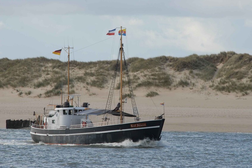 Picture 4 for Activity From List: Boat trip for Mackerel Fishing around Sylt