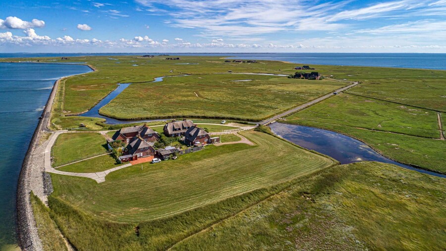 From Nordstrand: Boat tour to Hallig Hooge