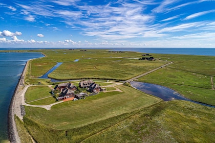 Von Nordstrand aus: Bootstour zur Hallig Hooge