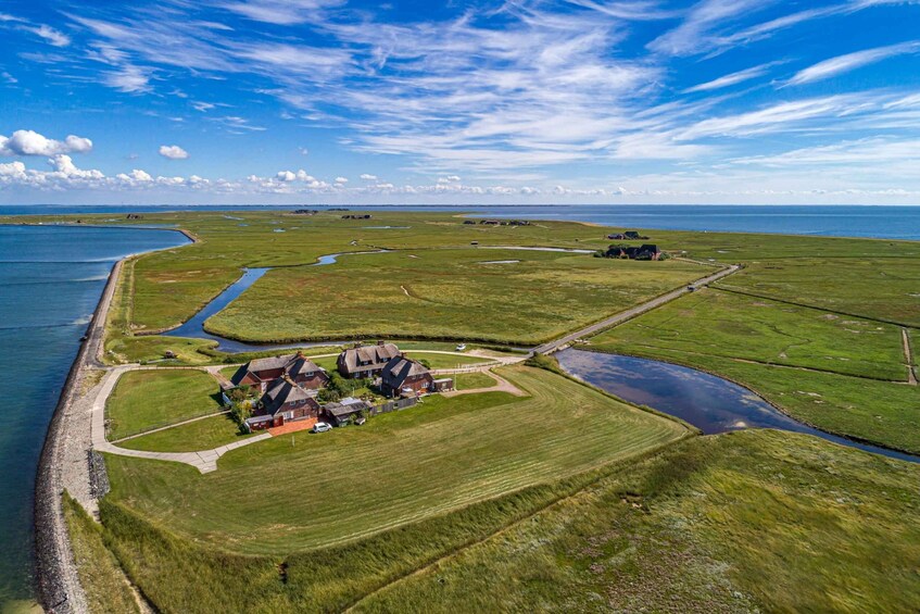 From Nordstrand: Boat tour to Hallig Hooge