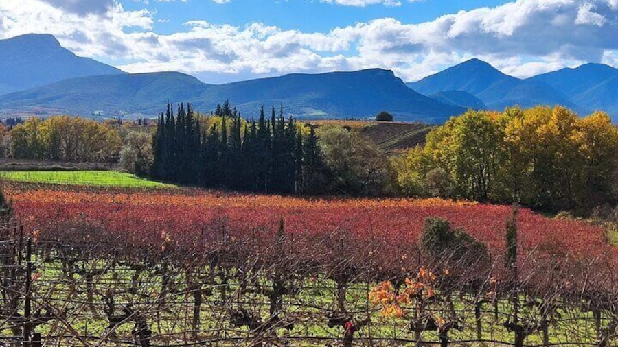Nemea One Day Wine Gathering