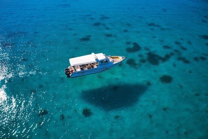 Daymaniyat Island Snorkelling