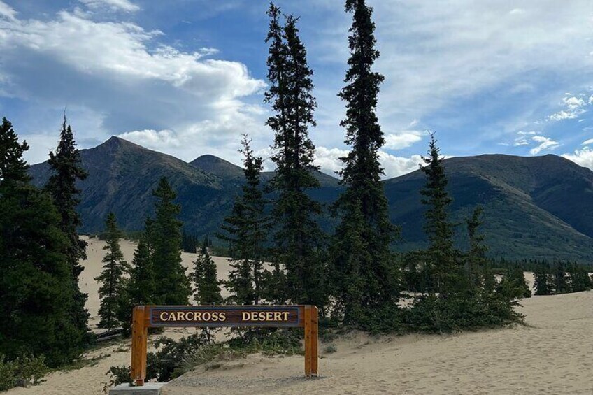 Experience the Yukon and Suspension Bridge