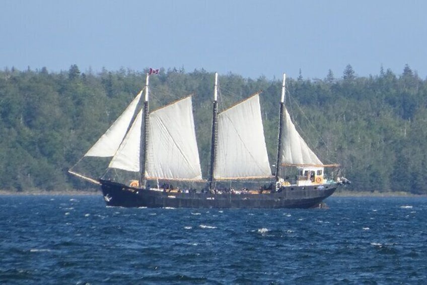 Self-guided walking tour and scavenger hunt in Halifax