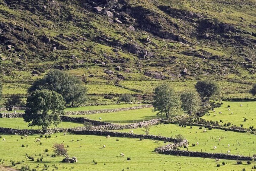 Private Scenic Photo Tour of the Ring of Kerry