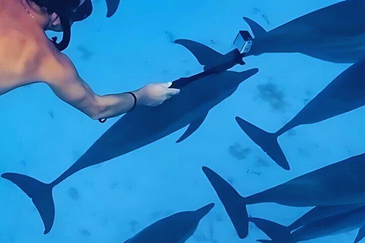  Dolphin House Snorkeling, Lunch and Water Sports from Hurghada